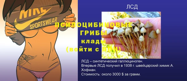 кокс Алзамай