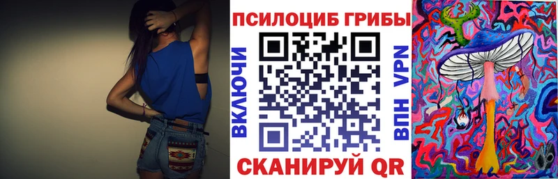 закладка  Аркадак  Псилоцибиновые грибы прущие грибы 